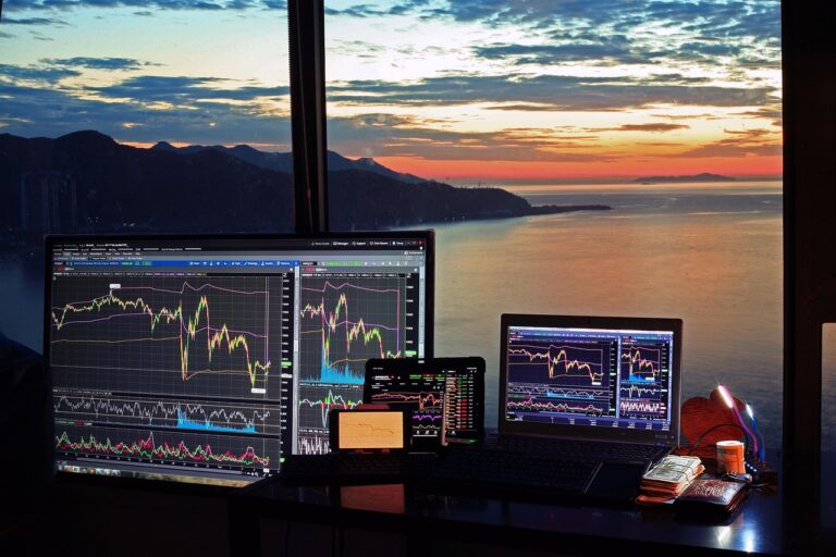 stock market, nature, trading, stocks, derivatives, gains, bitcoin, crypto, currency, blockchain, investing, banking, cryptocurrency, dow, nasdaq, options, futures, wallstreetbets, amc, gme, sunrise, sunset, shiba